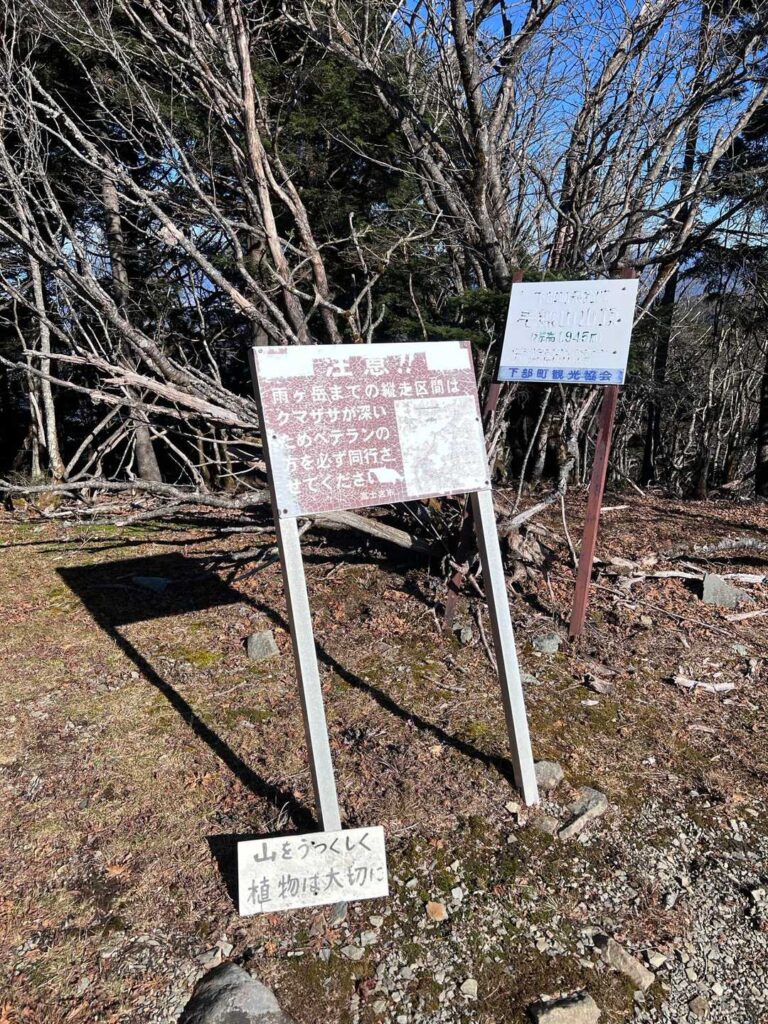 もしかして笹漕ぎありとか？？