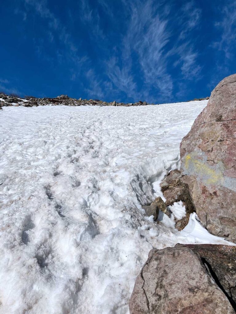 ステップを頼りに最後の急登