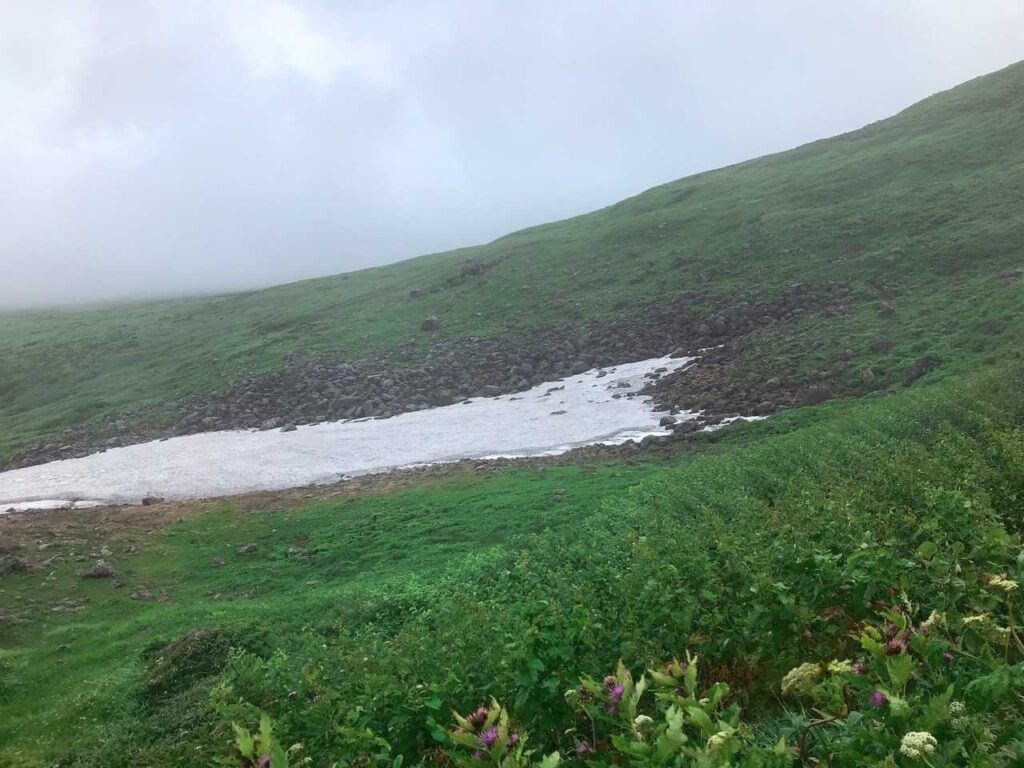 8月でも残る雪渓