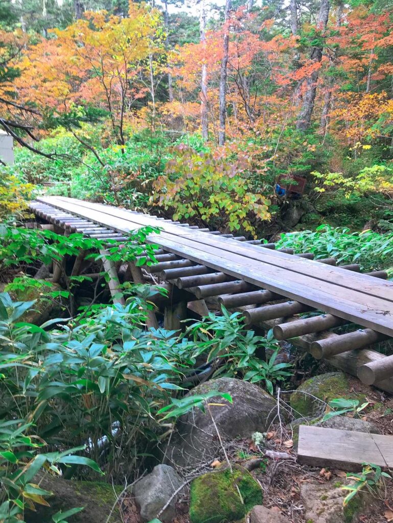 線路みたいな橋