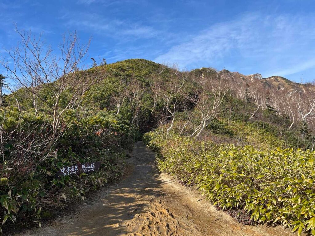 稜線が見えてきた