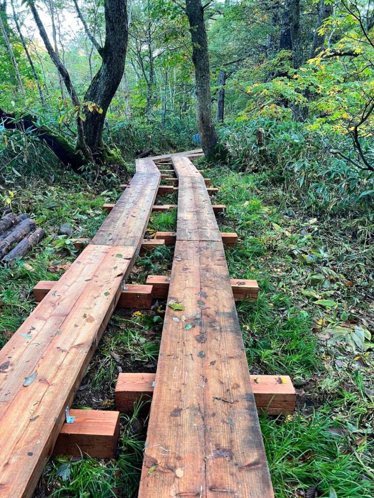 天国ゾーンの木道