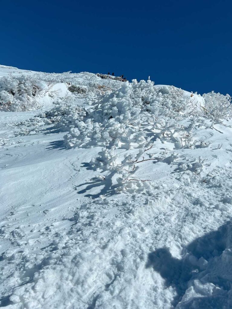 オキノ耳へ向かう稜線