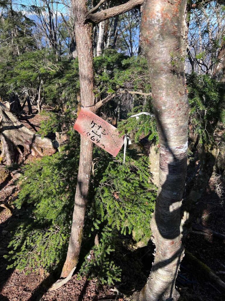 毛無山の最高点