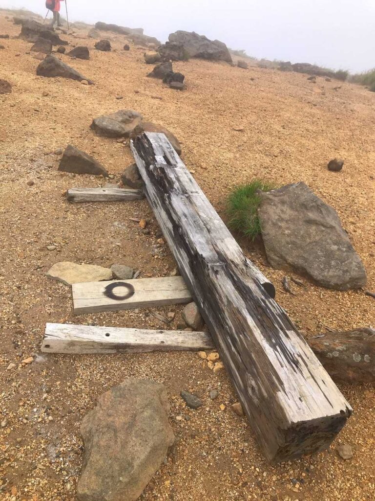 よく見ると倒れた先代の標柱