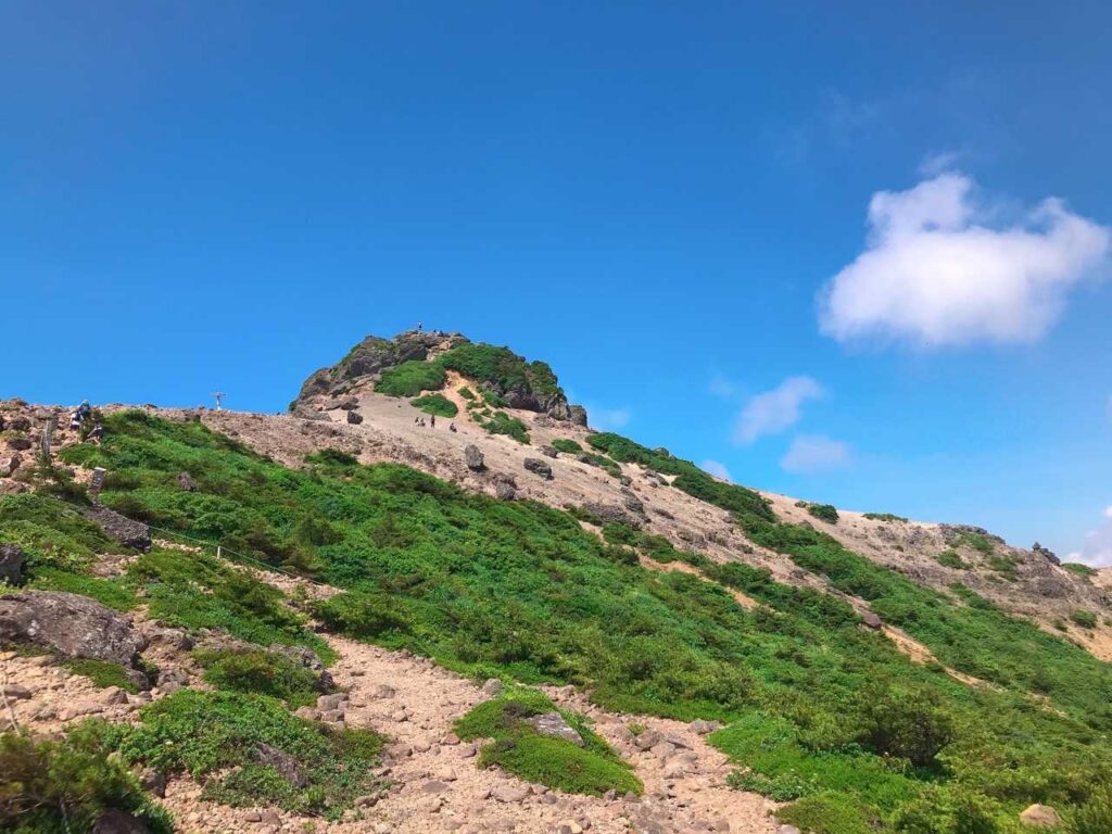 山頂が見えてきた