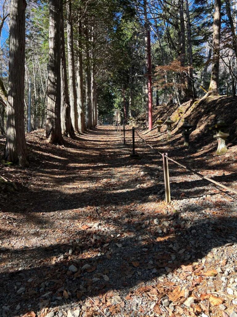まだ登りが続く道