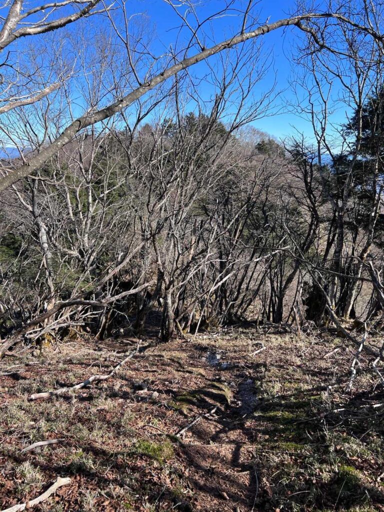 雨ヶ岳を目指して出発