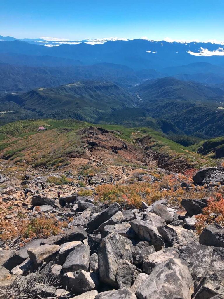 振り返ると凄い行列