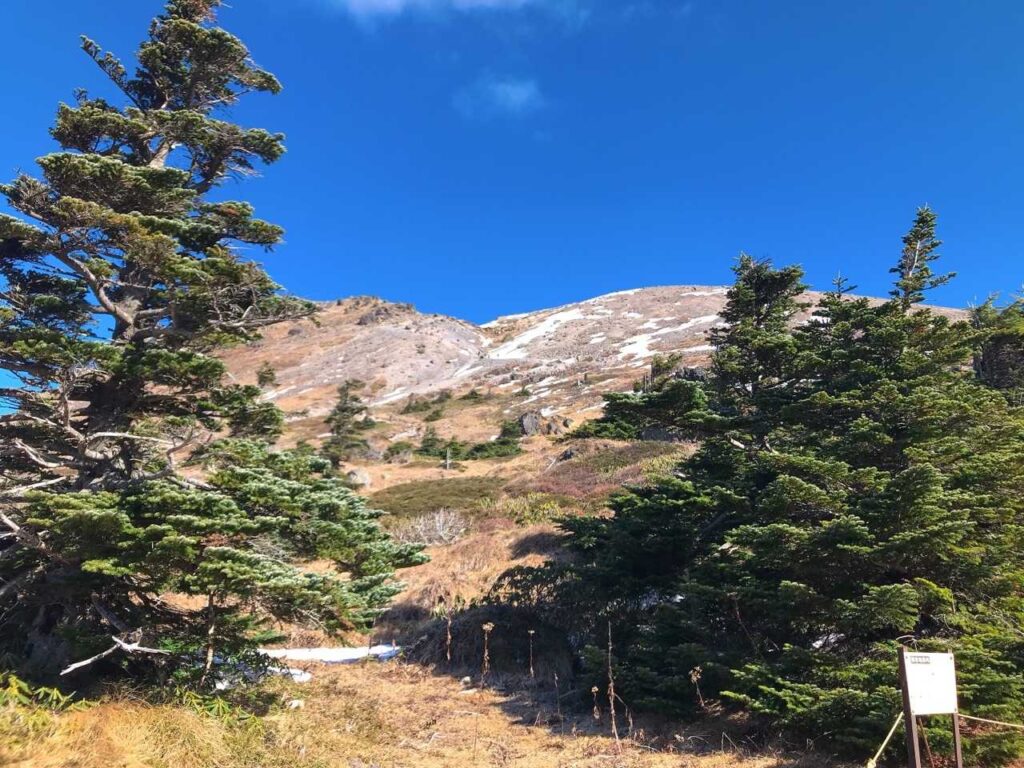 山頂が見えてきた