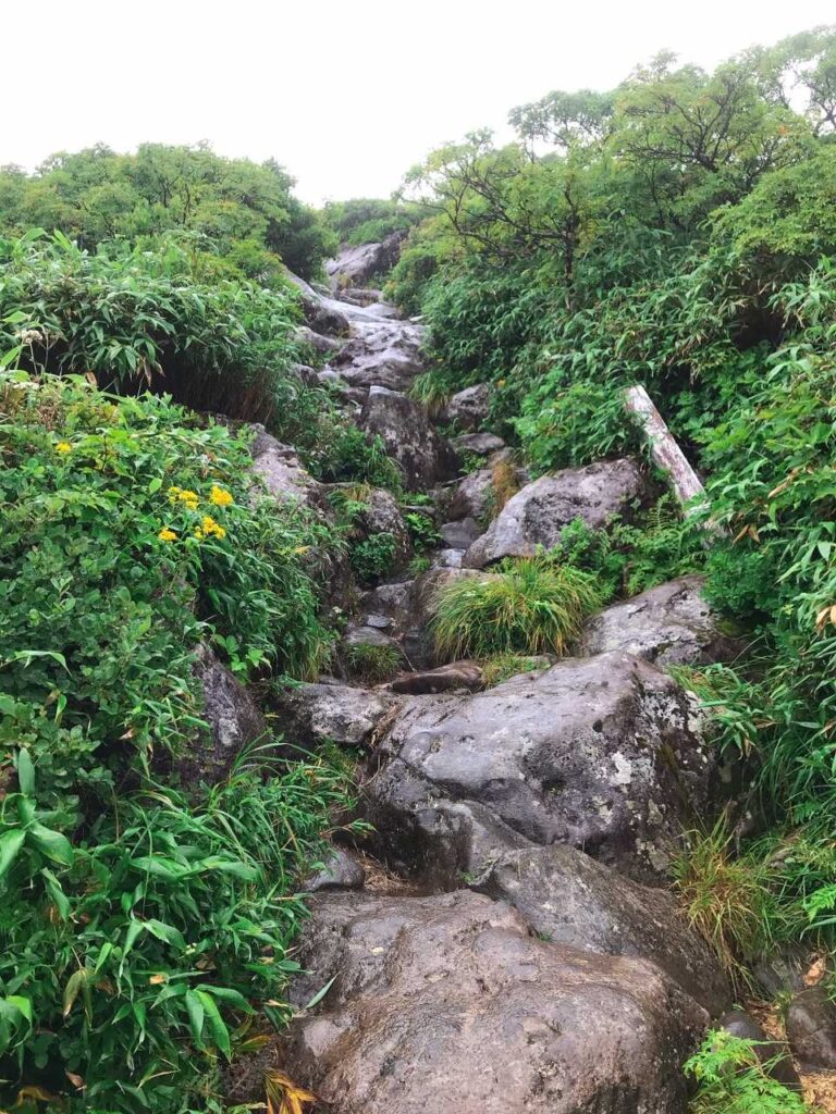 行者返しの急登