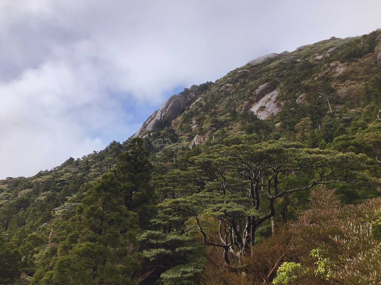 樹林帯を抜けた先の景色