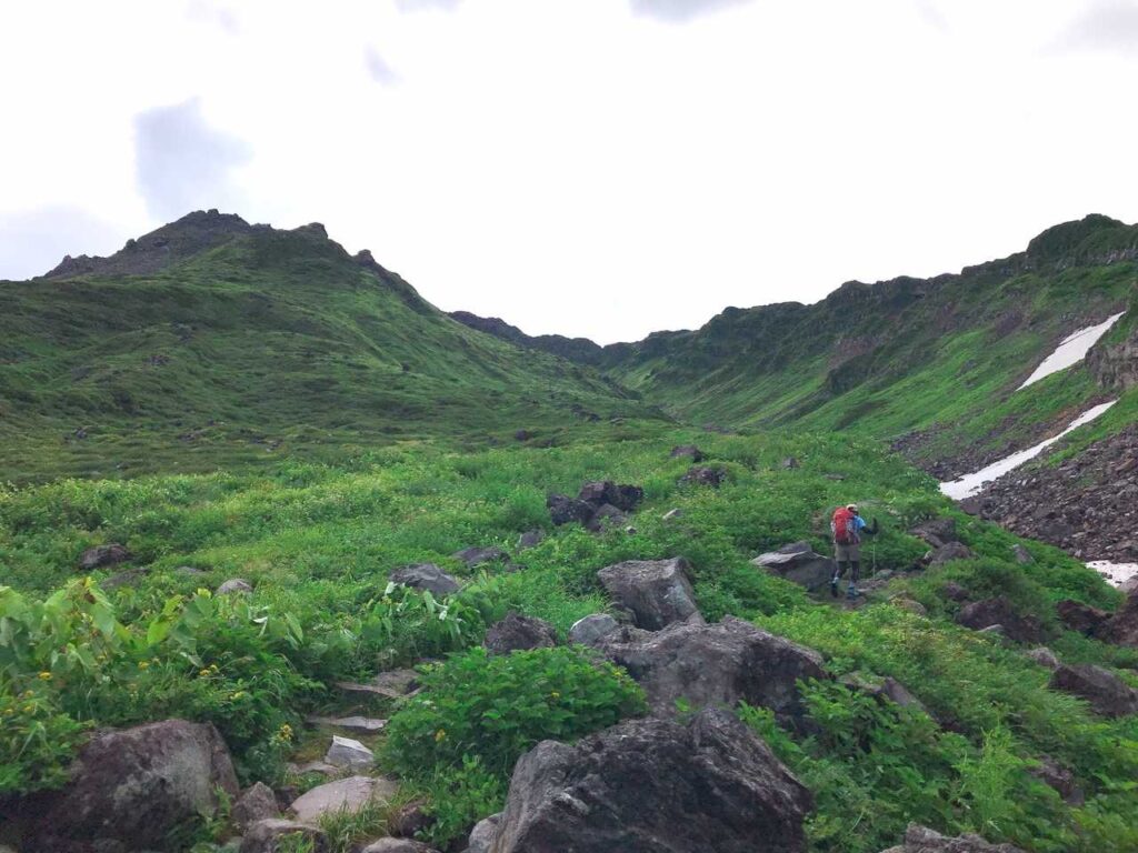 山頂部が見えてきた