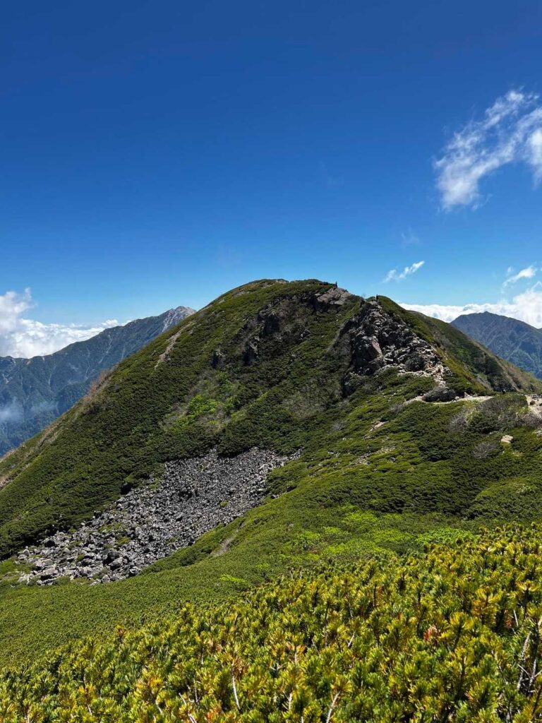 来た道を振り返る