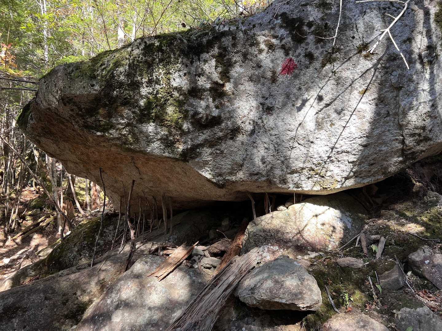 これも よくある写真📸