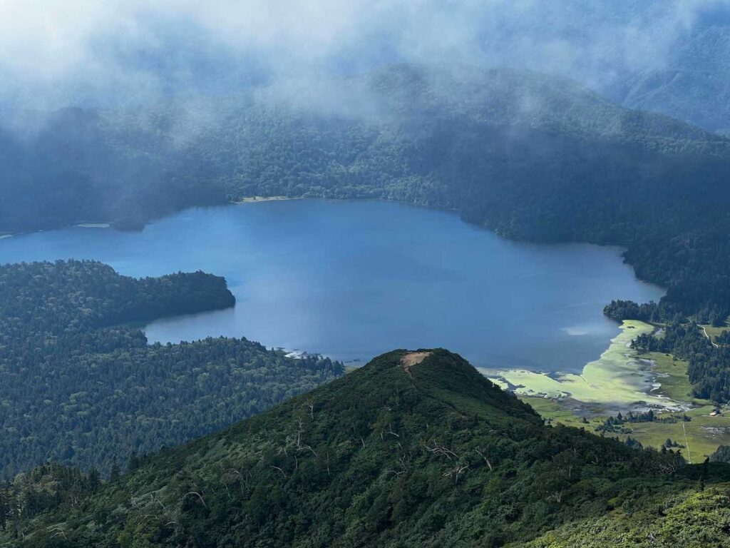 帰りに撮った一枚