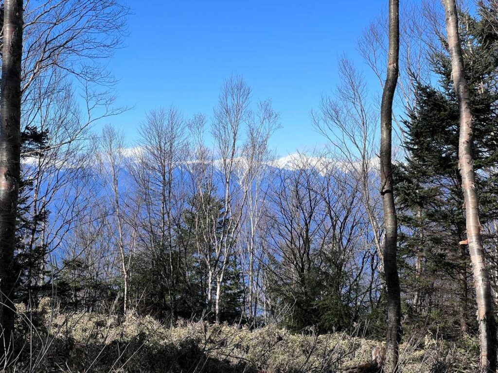 左手には南アルプス