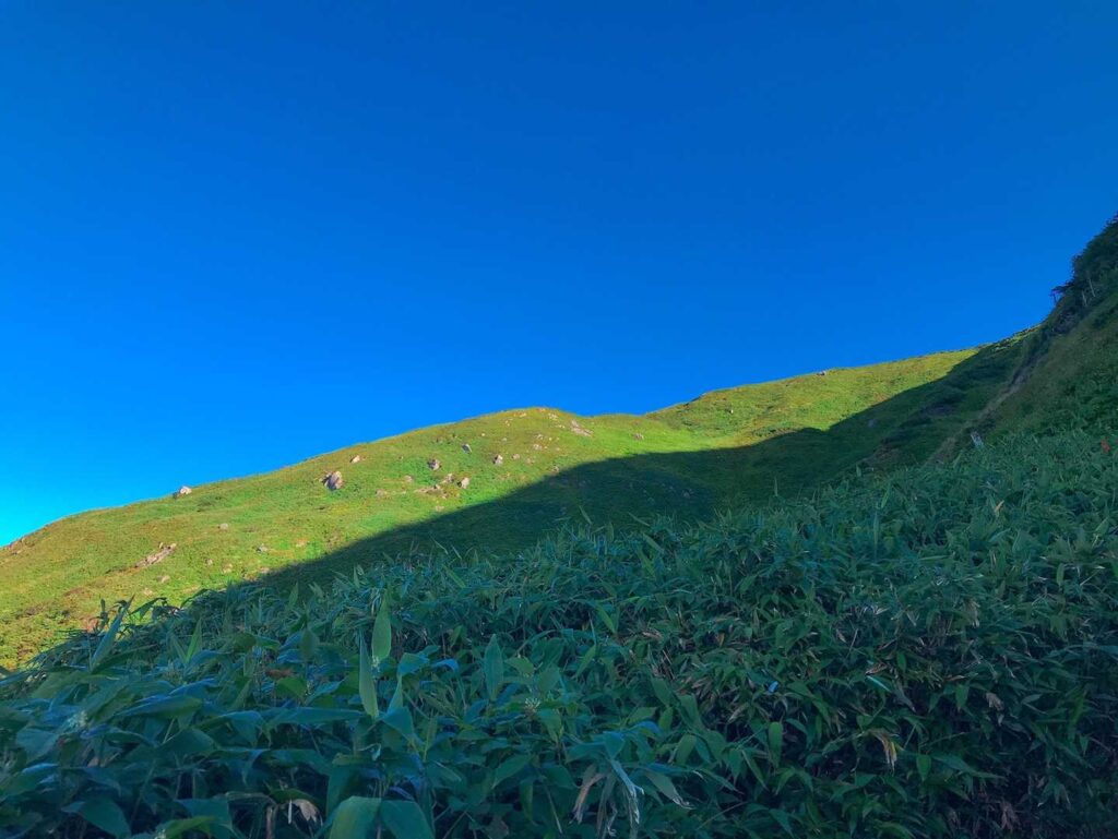 日が完全に昇った登山道
