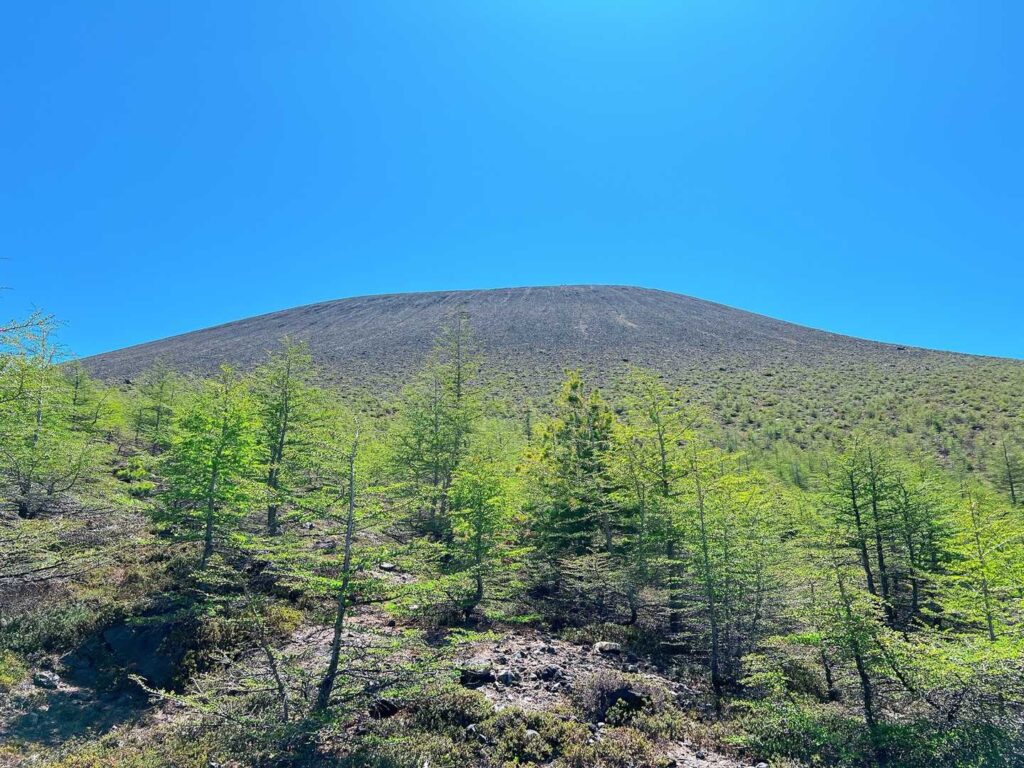 浅間山に向かう道