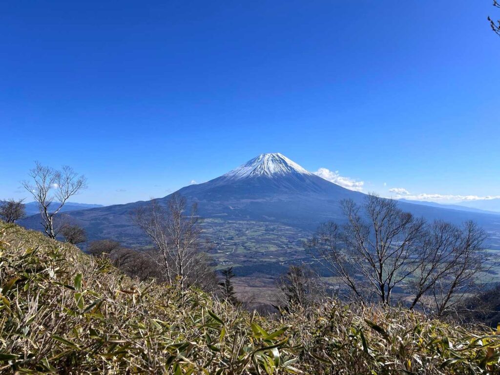 右手にはずっと富士山