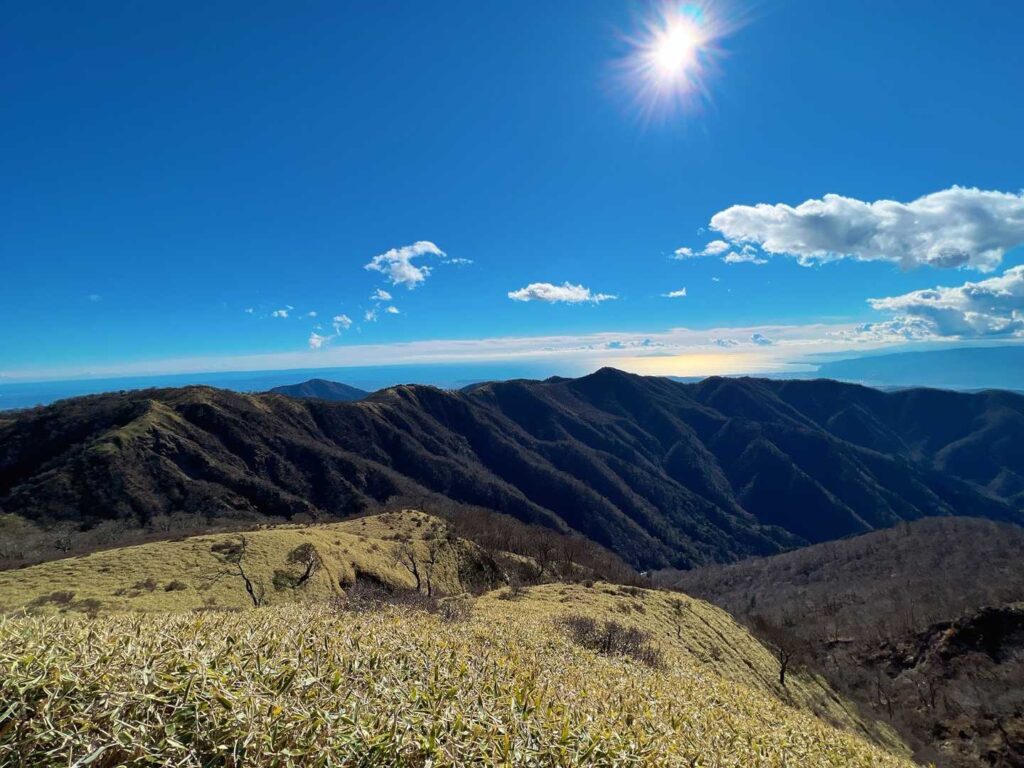 稜線から望む相模湾
