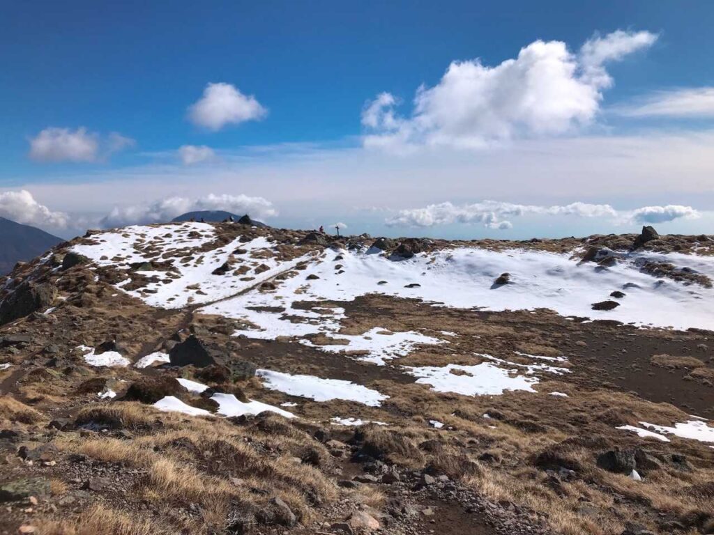 いい感じの雪化粧
