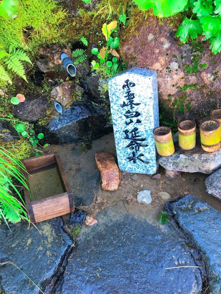 登山道沿いの若返りの水?