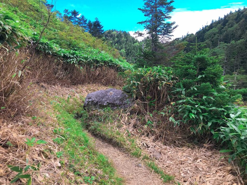 焼岳小屋への道