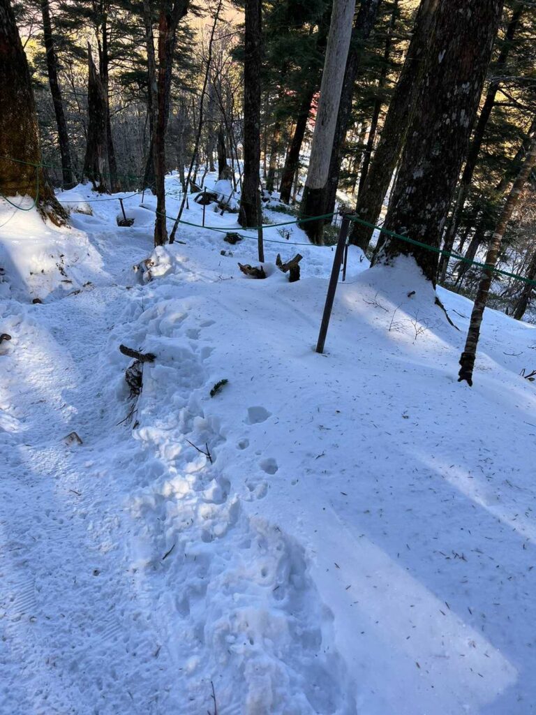 雲取山荘方面は雪の別世界