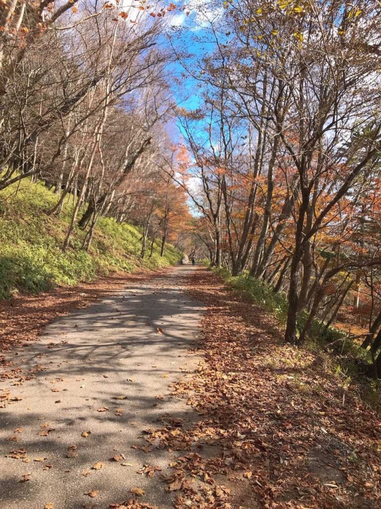 紅葉が終わり冬支度の山
