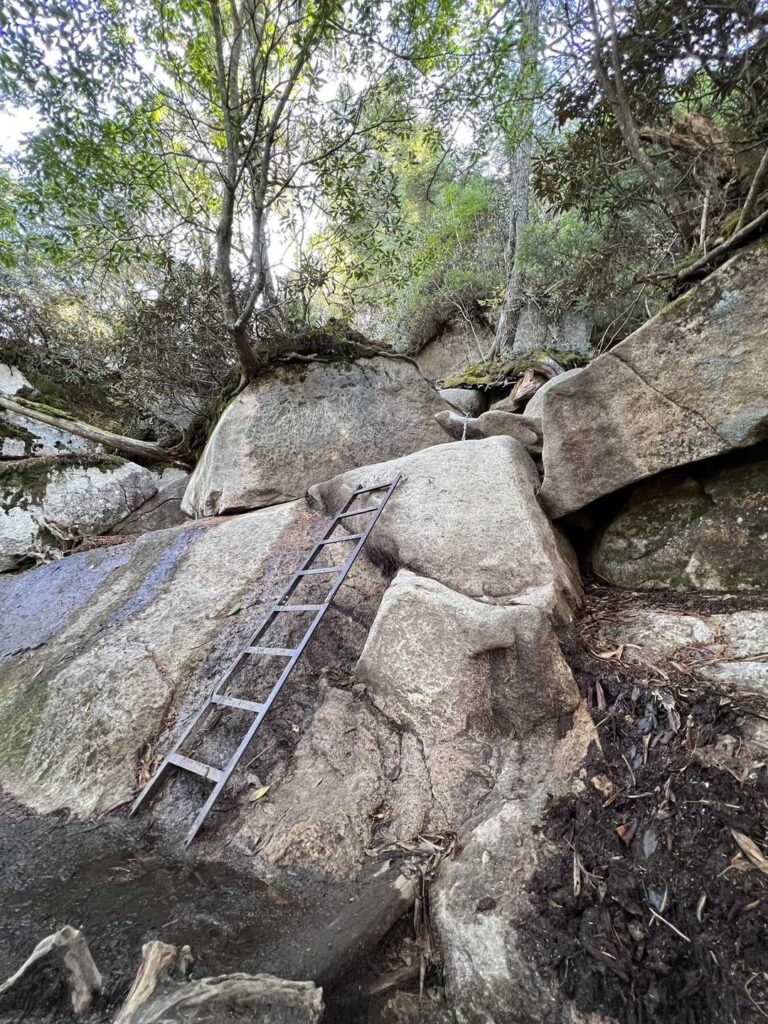 山頂直下のハシゴ