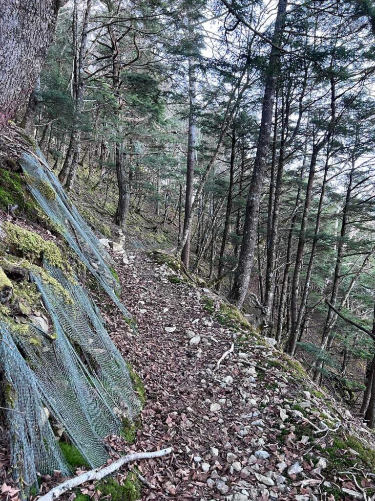 日陰は寒々しい