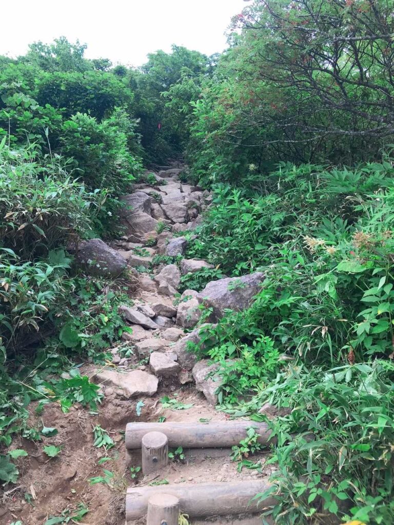 岩場を登っていく