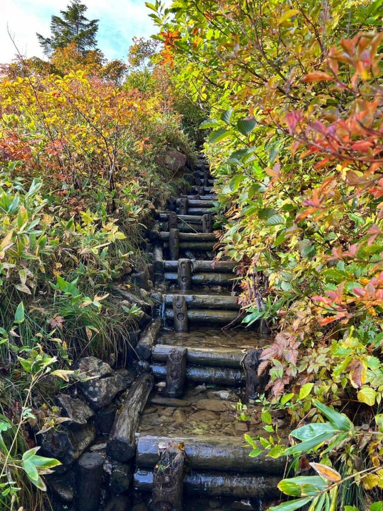 雪解け水が流れる階段