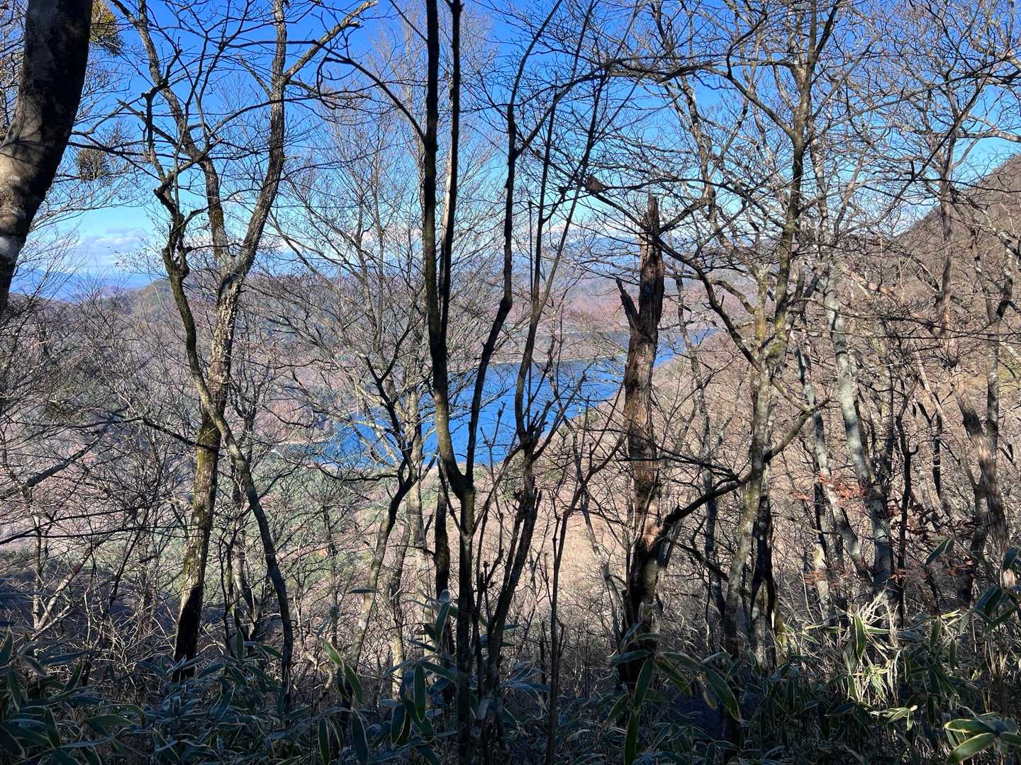 本栖湖見えた ここ行ってみたいんだよねぇ〜