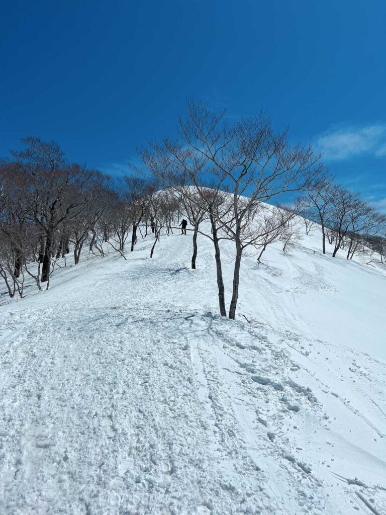 青空と雪のコントラスト