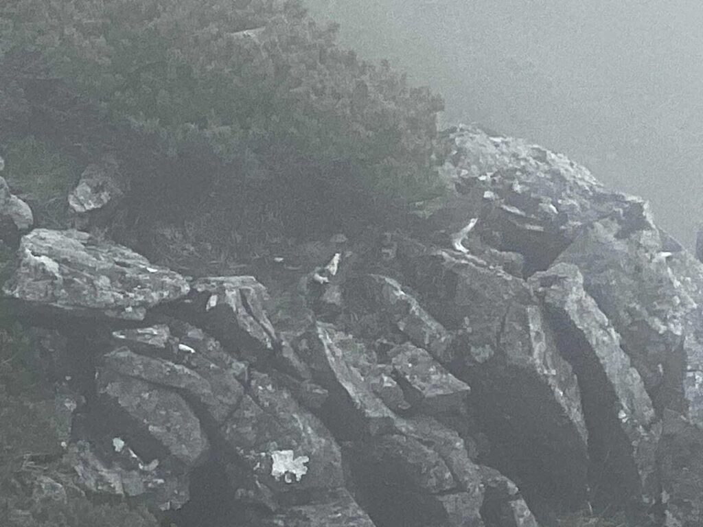 ガスの中に雷鳥ファミリー