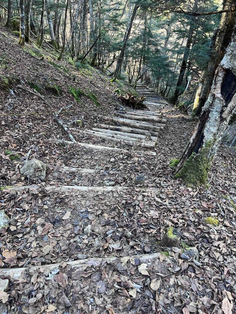 どんどん下っていく登山道