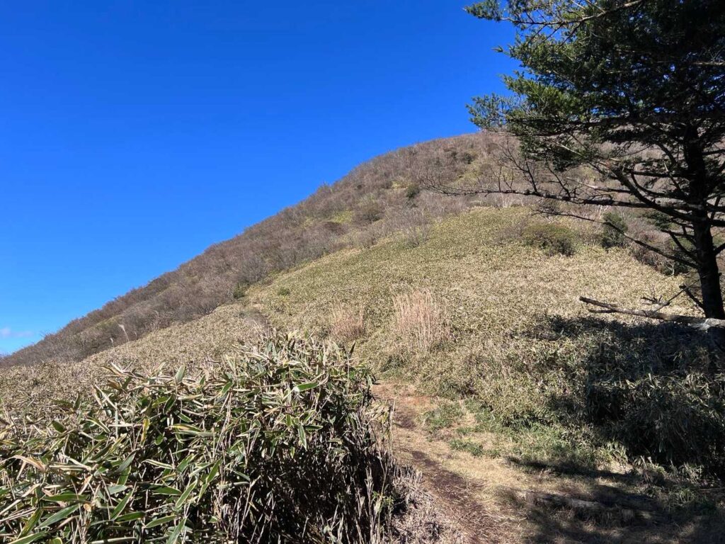 あれが竜ヶ岳かな