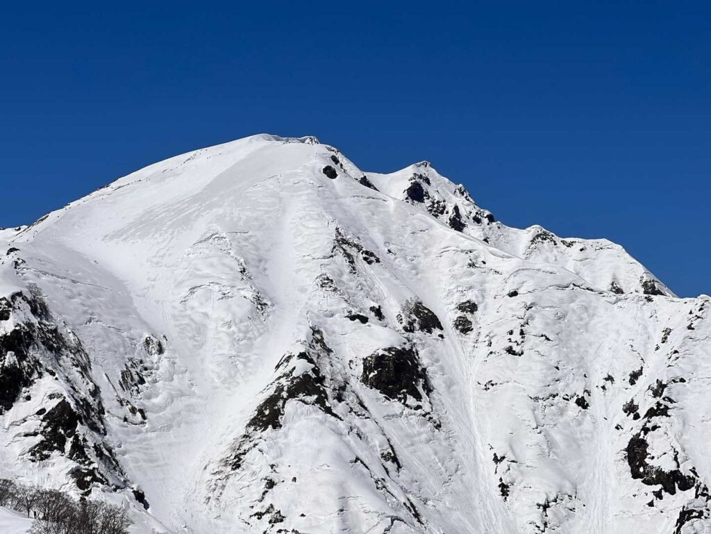 この日のベストショット