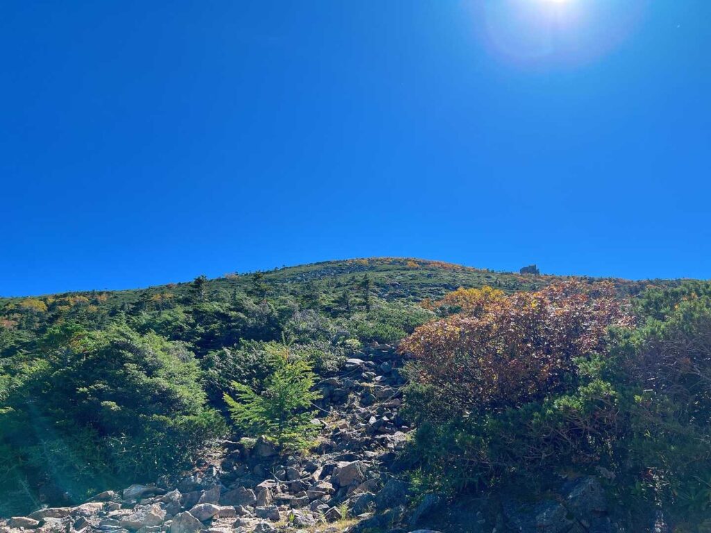金峰山小屋付近からの紅葉