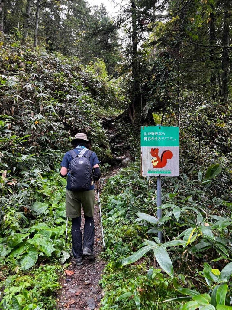 登山道のスタート