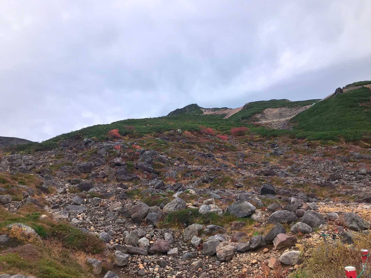 紅葉がなくなってきちゃったぁー