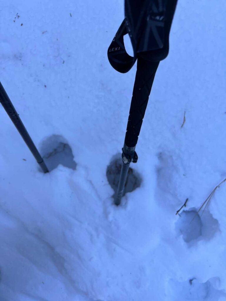 巻き道からの景色