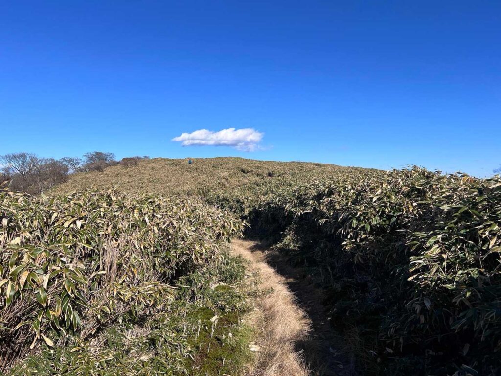 登りきるとこの景色