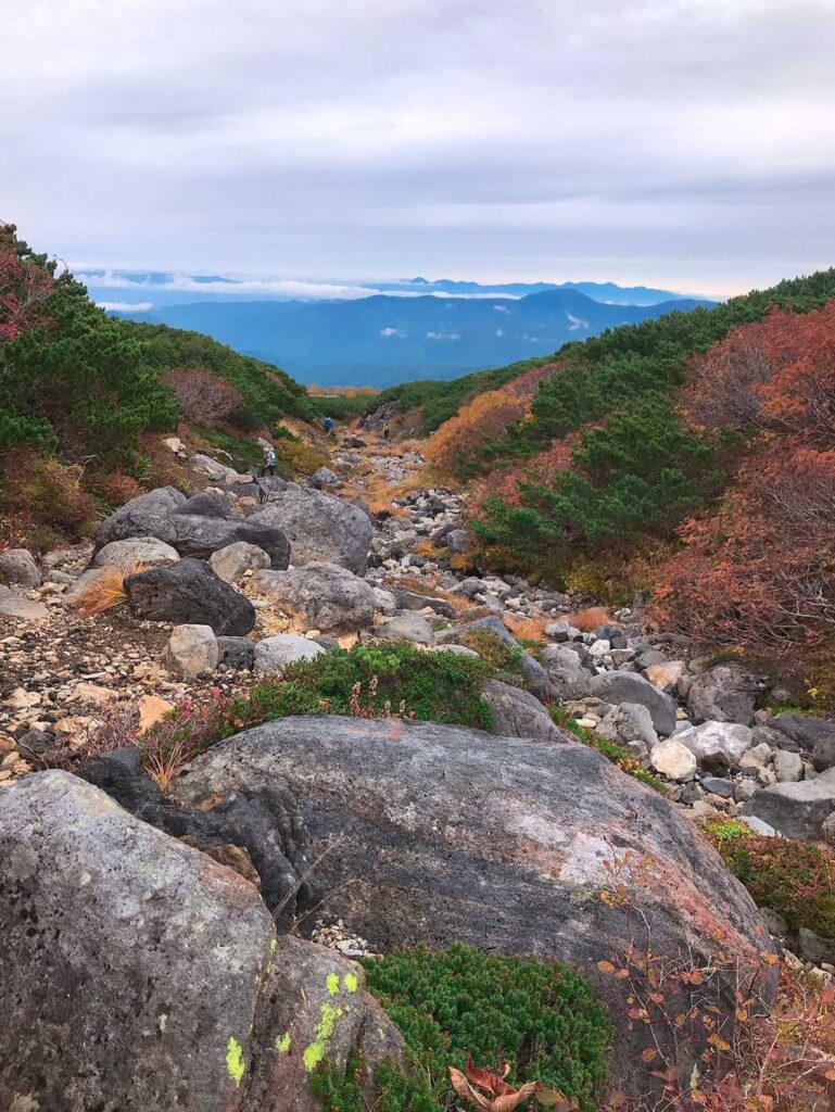 振り返りの景色