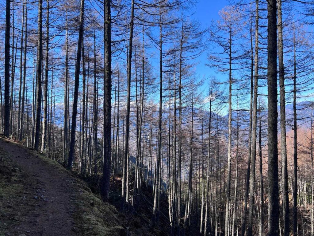 登り返し中に見える南アルプス