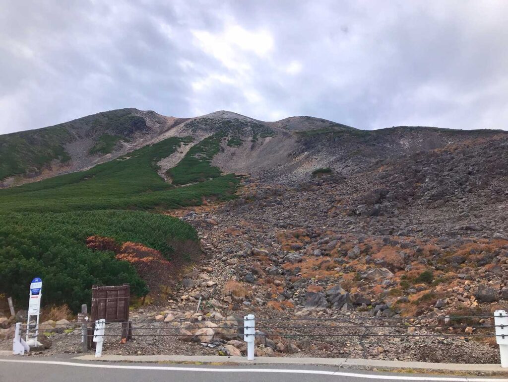 森林限界を越えた道