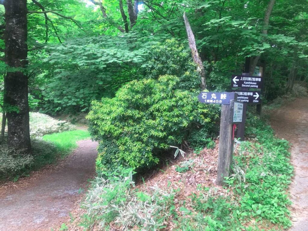 上日川峠に帰還