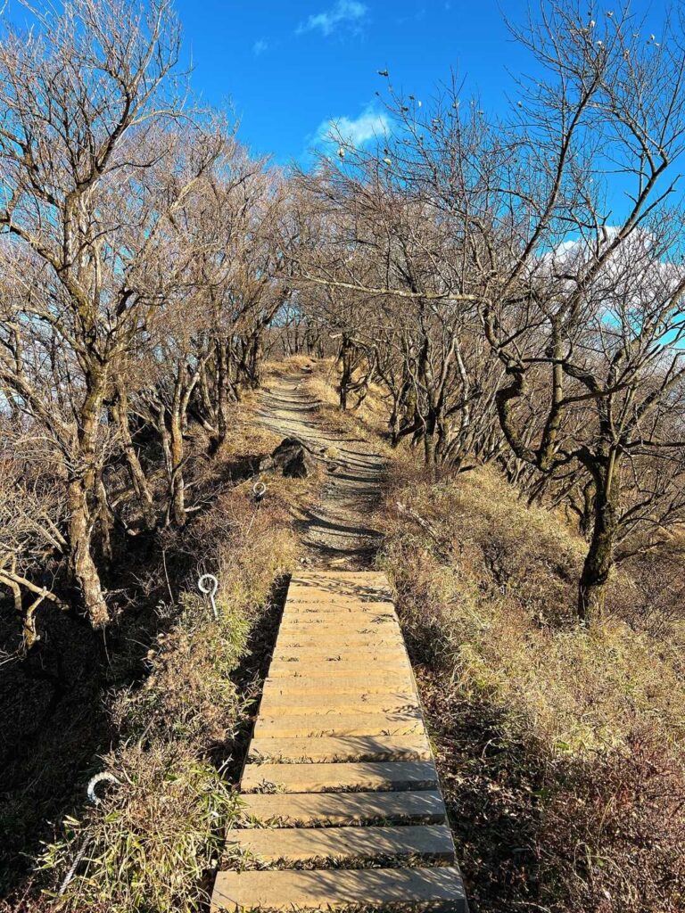 下山路の雰囲気